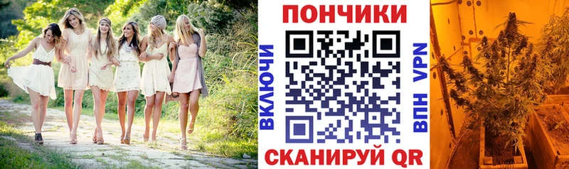  COCAIN Озёры